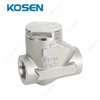 OIL FIELD STAINLESS STEEL CHECK VALVE